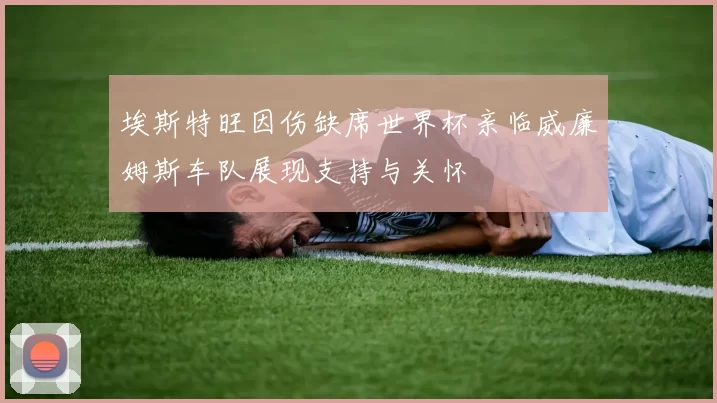 埃斯特旺因伤缺席世界杯亲临威廉姆斯车队展现支持与关怀